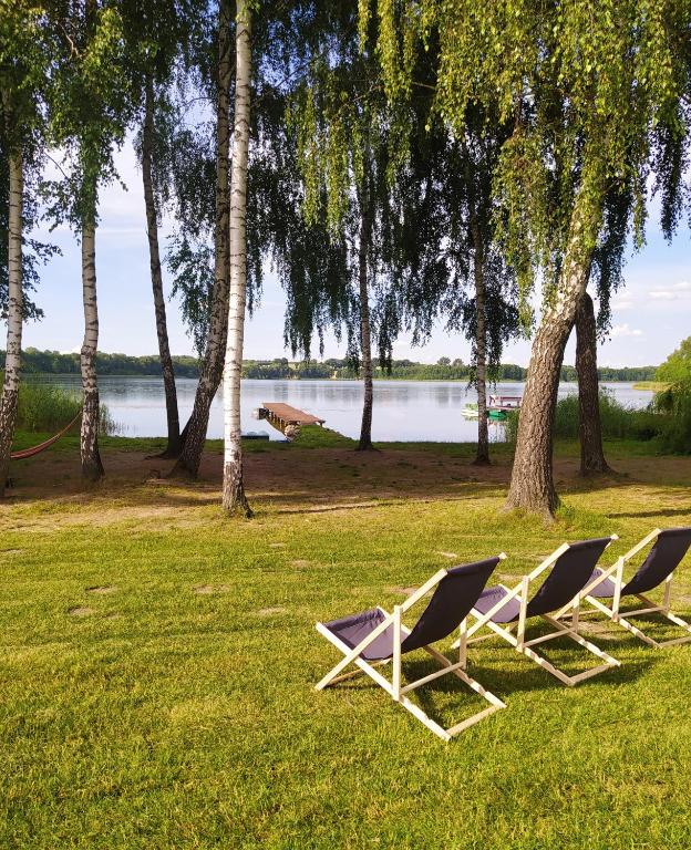 three chairs sitting in the grass next to a lake at Apartamenty LilaRóż in Brzozie Polskie