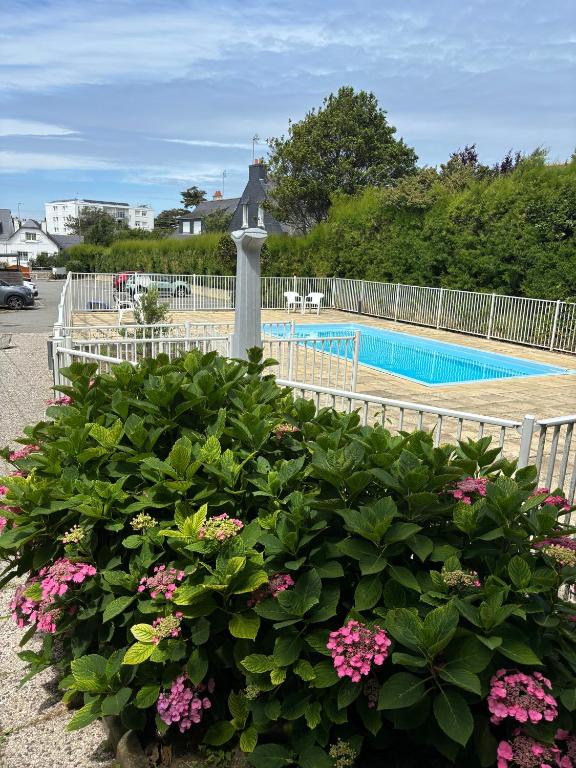 une brousse avec des fleurs roses en face d'une piscine dans l'établissement Appartement studio 4 personnes dans résidence avec piscine, à Quiberon