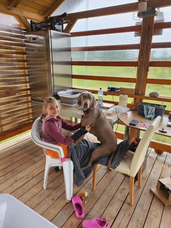 Hosté ubytování Mazury Kemp Jedwabno