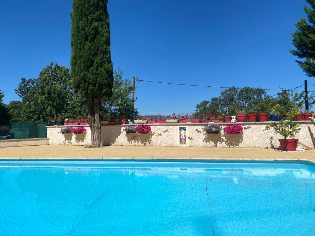 une piscine devant un mur avec des plantes en pot dans l'établissement Studio Fontblachere, à Saint-Lager-Bressac