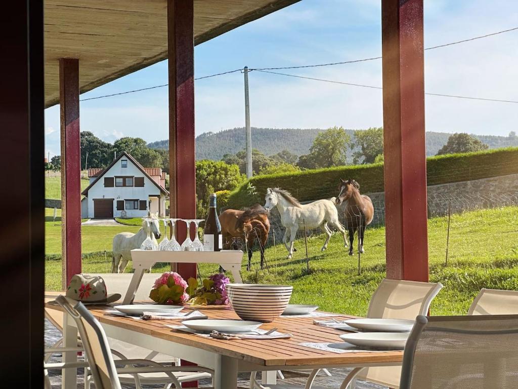 a table with chairs and horses in a field at Vela Bianca - 12807 in Ajo