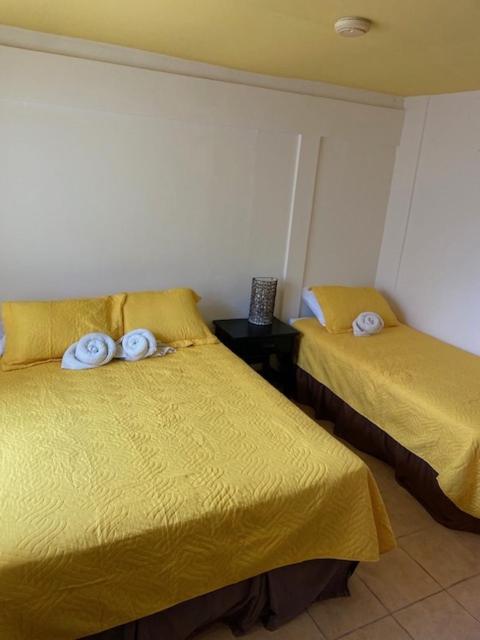 Postel nebo postele na pokoji v ubytování Uverito Sand Dollar B&B