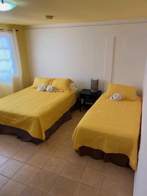 Postel nebo postele na pokoji v ubytování Uverito Sand Dollar B&B
