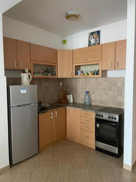 Kuchyň nebo kuchyňský kout v ubytování Apartman Jelena