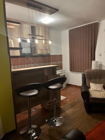 Billede fra billedgalleriet på Apartman Katic i Vrnjačka Banja