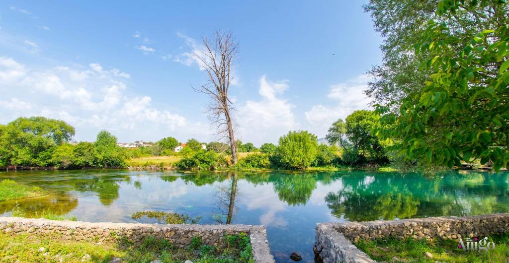 a pond in a park with trees and clouds in the sky at Bunska Venera in Blagaj