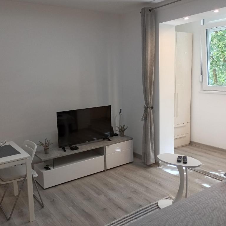 TV a/nebo společenská místnost v ubytování Studio Lara