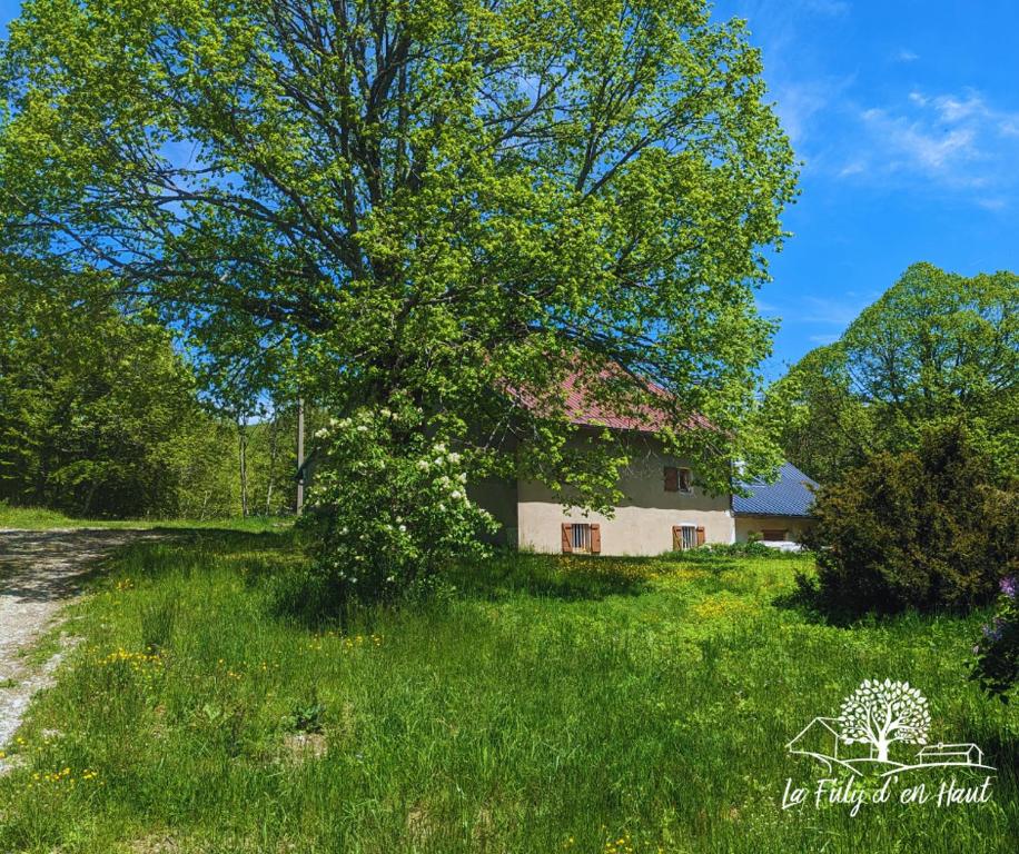 un arbre au milieu d'un champ avec une maison dans l'établissement La Fuly d'en haut, à Le Grand-Abergement