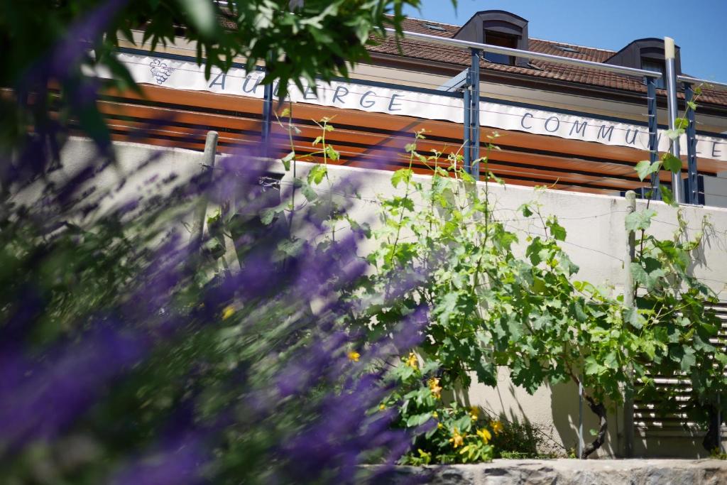 Zahrada ubytování Auberge Communale à l'Union
