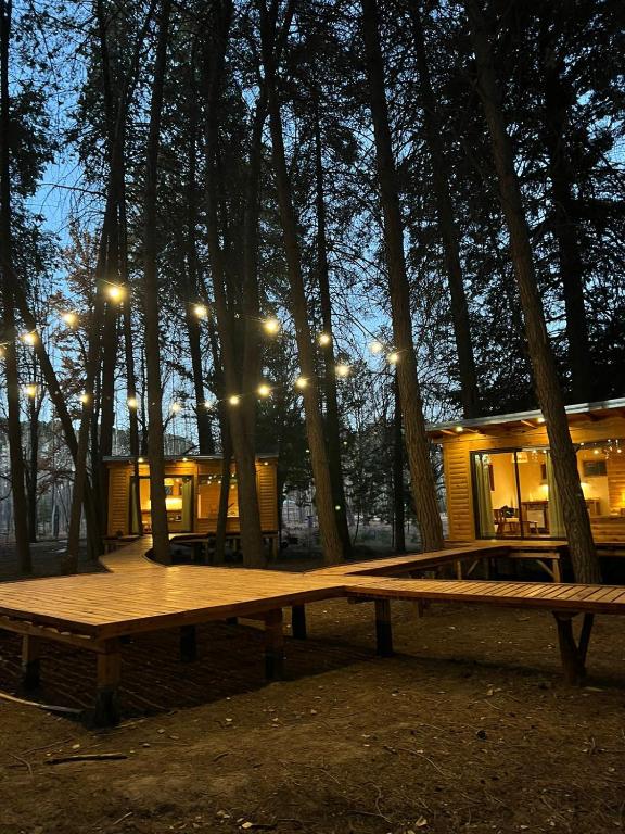 a wooden bench in front of some trees at night at La Venecia Cabañas in San Rafael