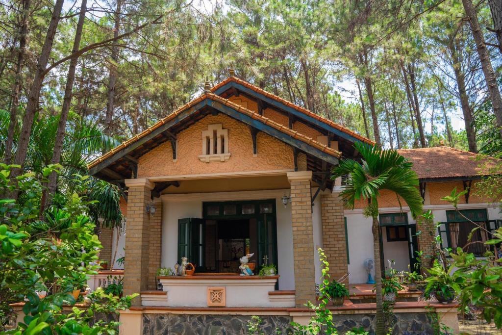 Zahrada ubytování Pine Hill Villas & Camping