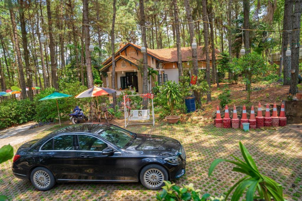 Zahrada ubytování Pine Hill Villas & Camping