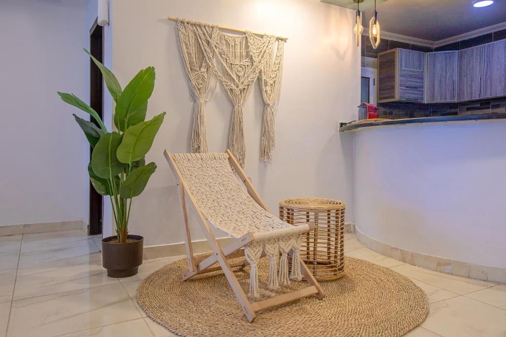 a chair sitting on a rug in a room with a plant at Skyline Premium Properties in Alexandria