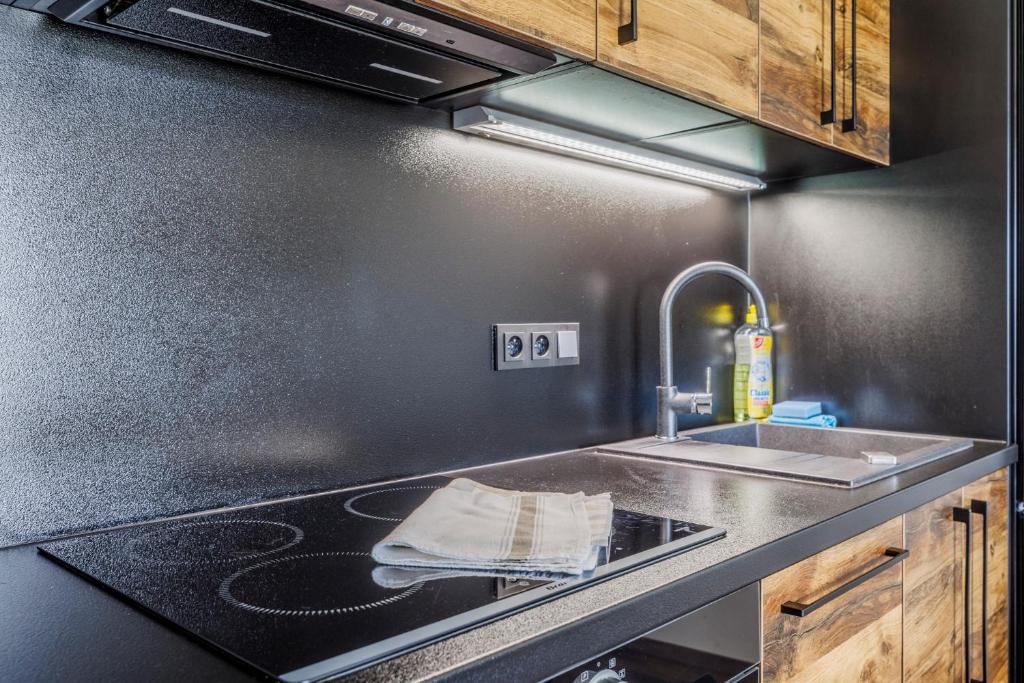 HP APARTMÁNY SKIAREÁL- Buková Hora v Orlických horách 100 m od lanovky - 9