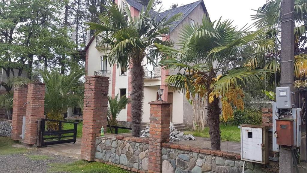 Zahrada ubytování Palm trees