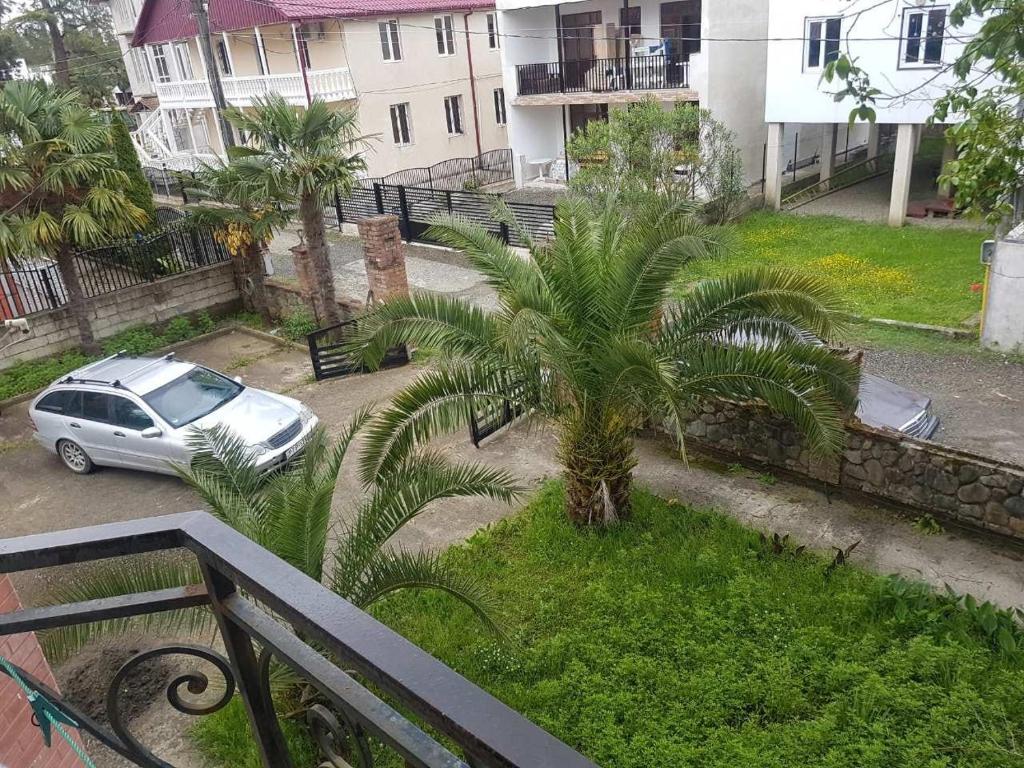 Zahrada ubytování Palm trees