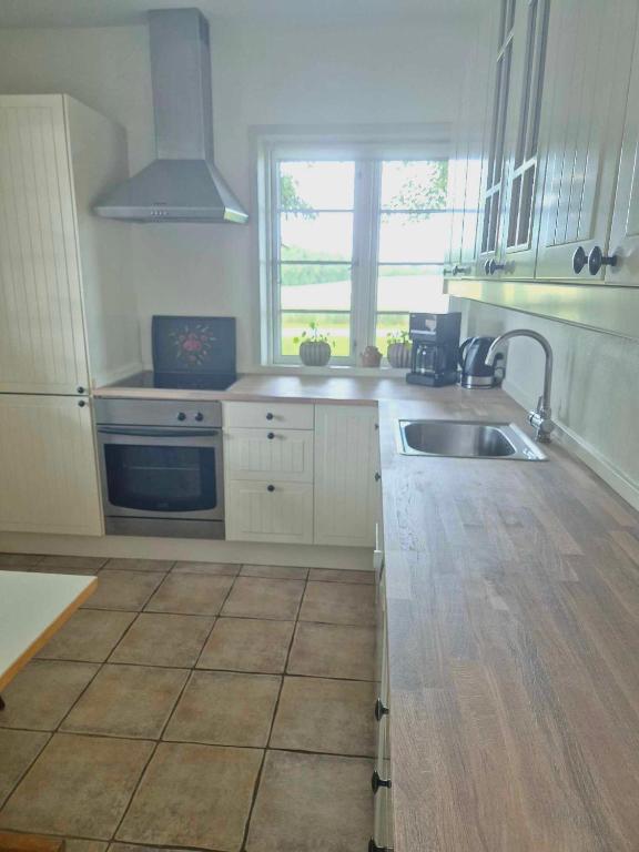 Kuchyň nebo kuchyňský kout v ubytování Apartment in Danmark- Agernaesgaard Otterup