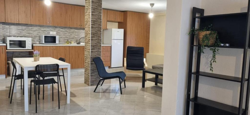 Kuchyň nebo kuchyňský kout v ubytování RAY APARTMENT