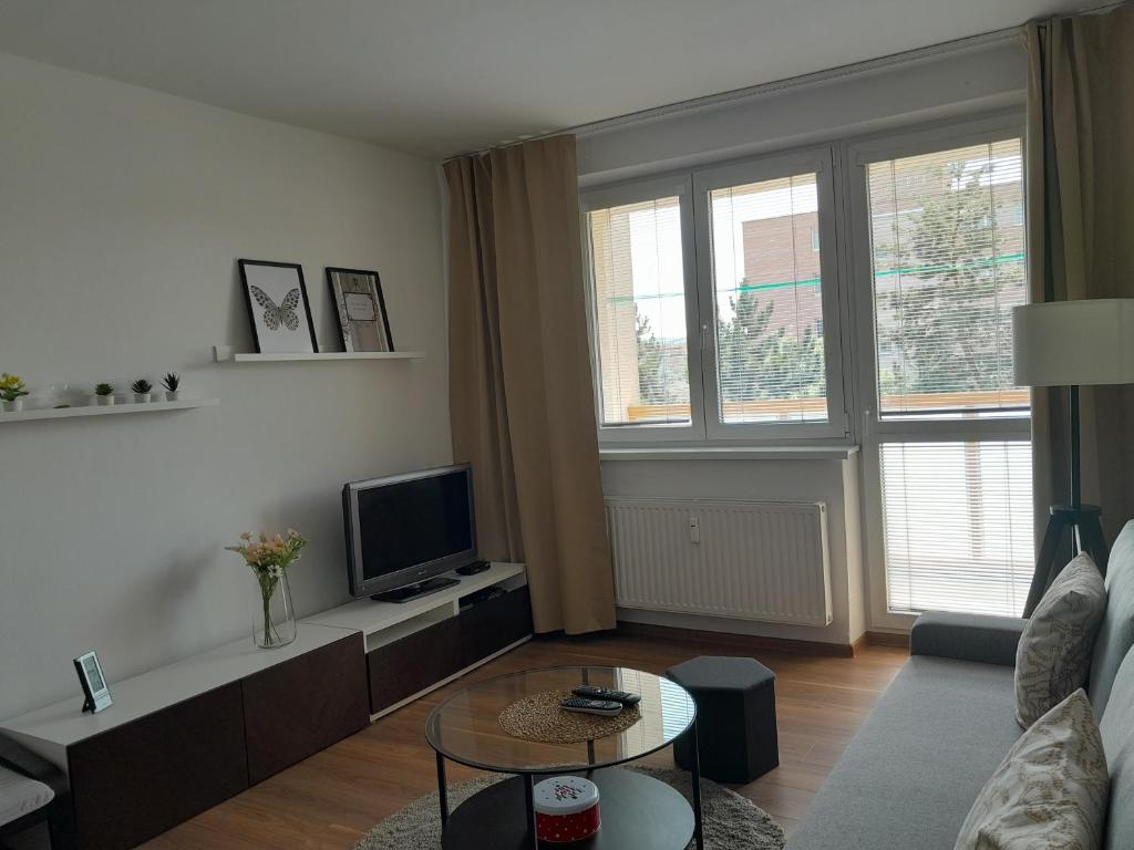 ein Wohnzimmer mit Couch und Fernseher in der Unterkunft Apartment in the heart of Myjava Town in Myjava