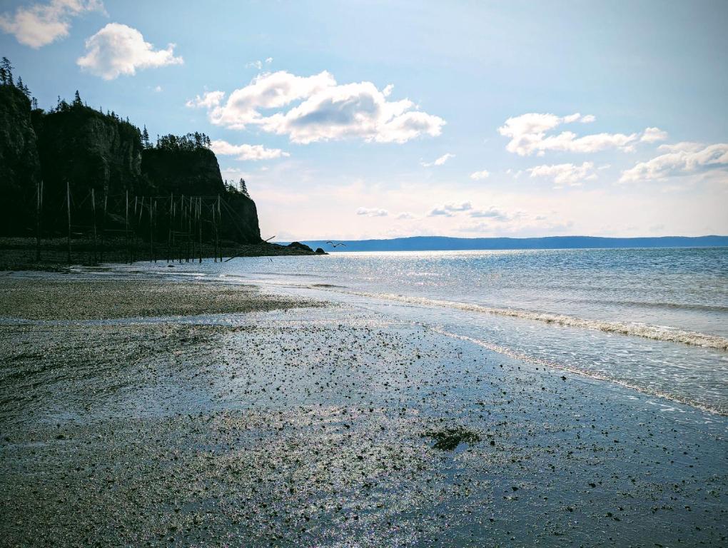 a beach with a rocky shore and the ocean at The Parrsboro Mansion Inn in Parrsboro