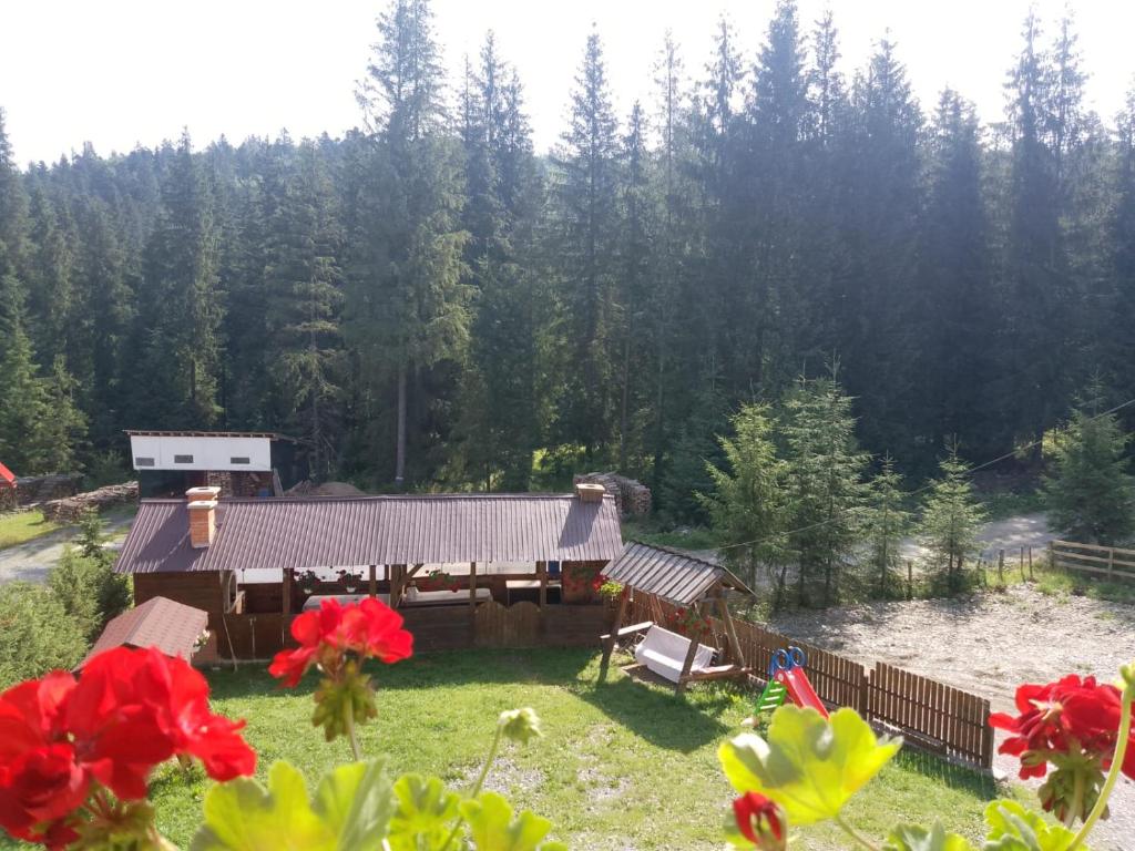 Zahrada ubytování Casa Cătă&Daria duplex
