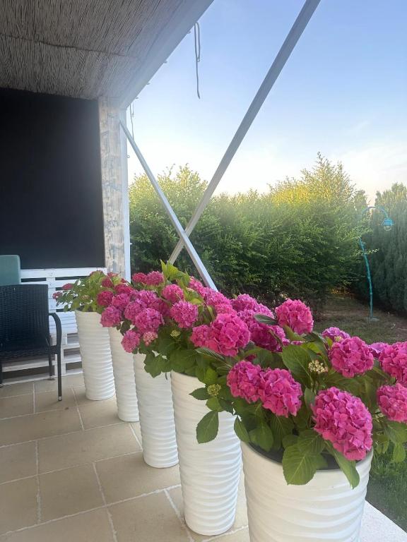 Green Oasis - Apartamento De Una Habitación