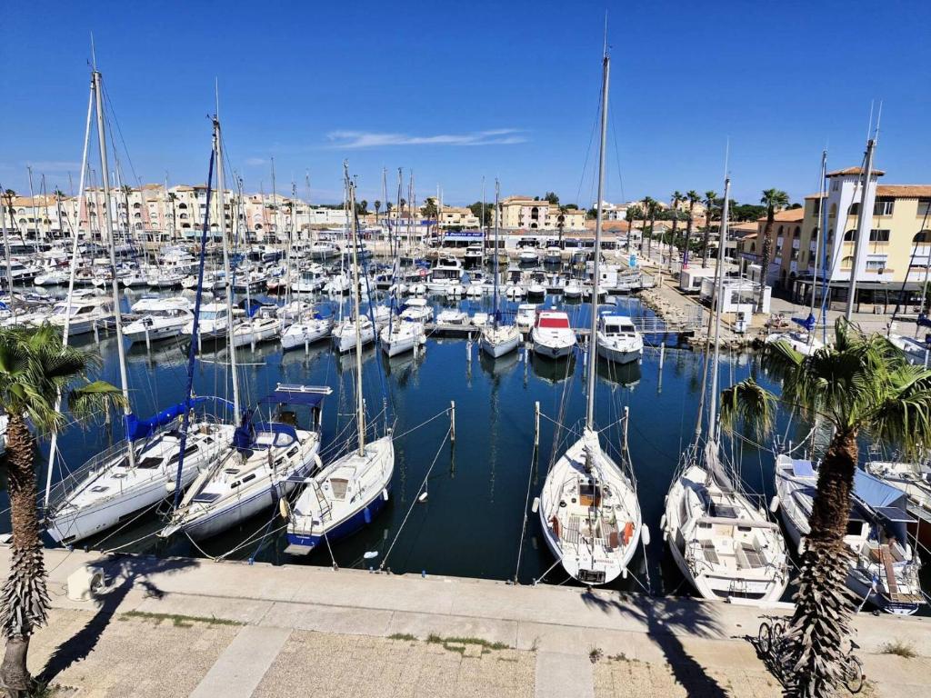 un groupe de bateaux amarrés dans un port dans l'établissement Résidence Le Castellet - 2 Pièces pour 4 Personnes 501, à Leucate