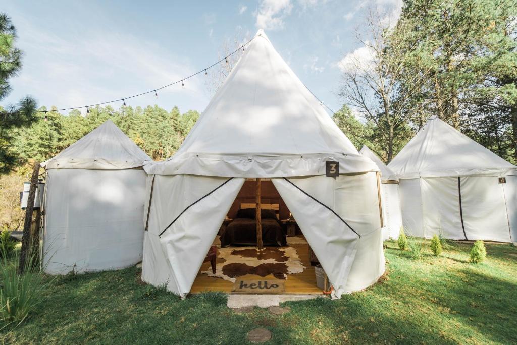 Κήπος έξω από το Exclusivo glamping en el bosque