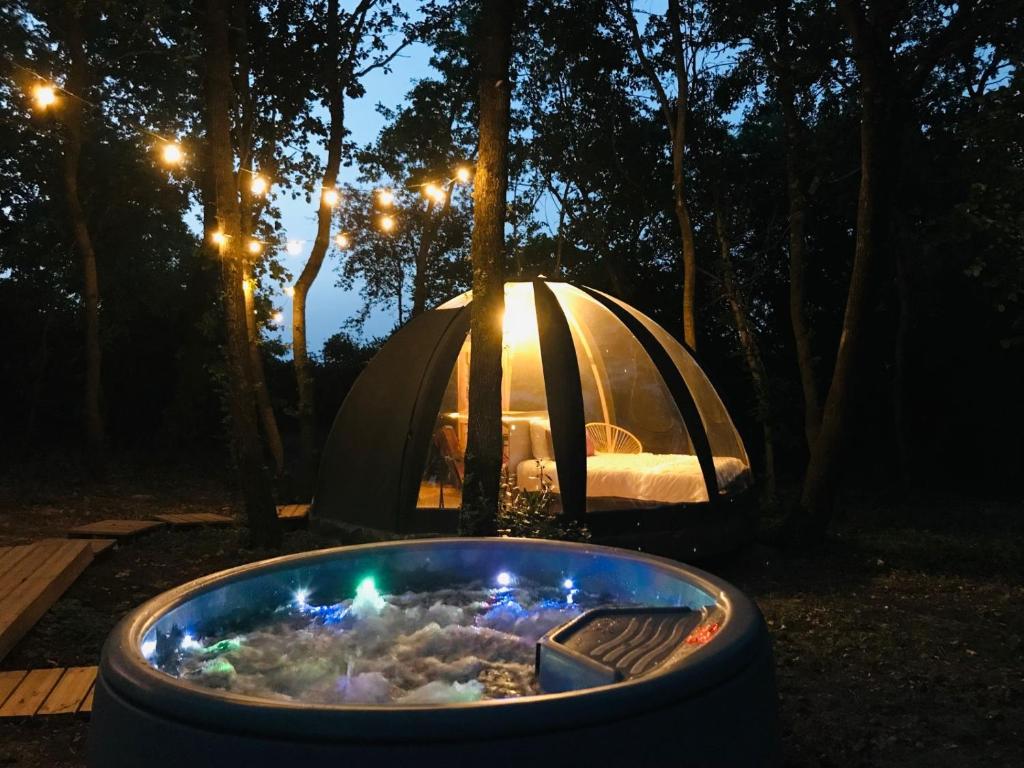 Ô cocon du Lauragais & spa - immagine 1