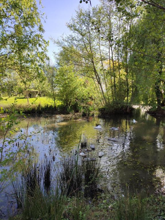 De couleurs et d'eau fraîche - Familiestudio