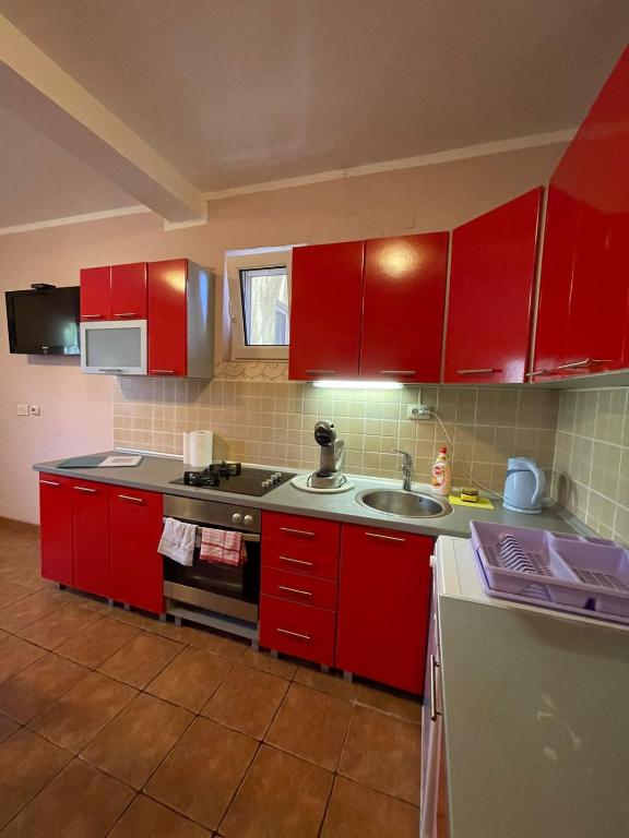 Kuchyň nebo kuchyňský kout v ubytování Apartments Villa-G Lustica