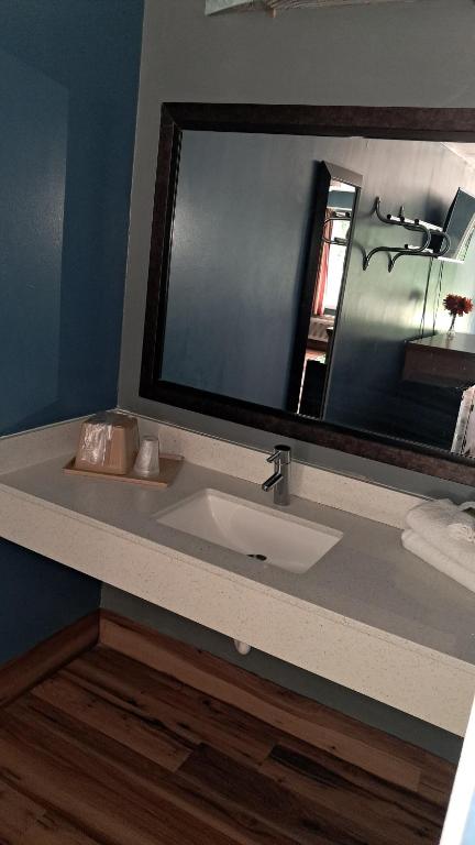 Un baño con lavabo y un espejo grande. en Countryside Inn, en Harleyville