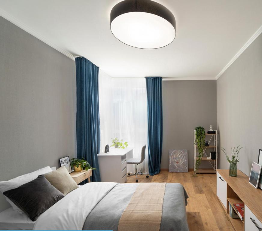 The best apartment in the center