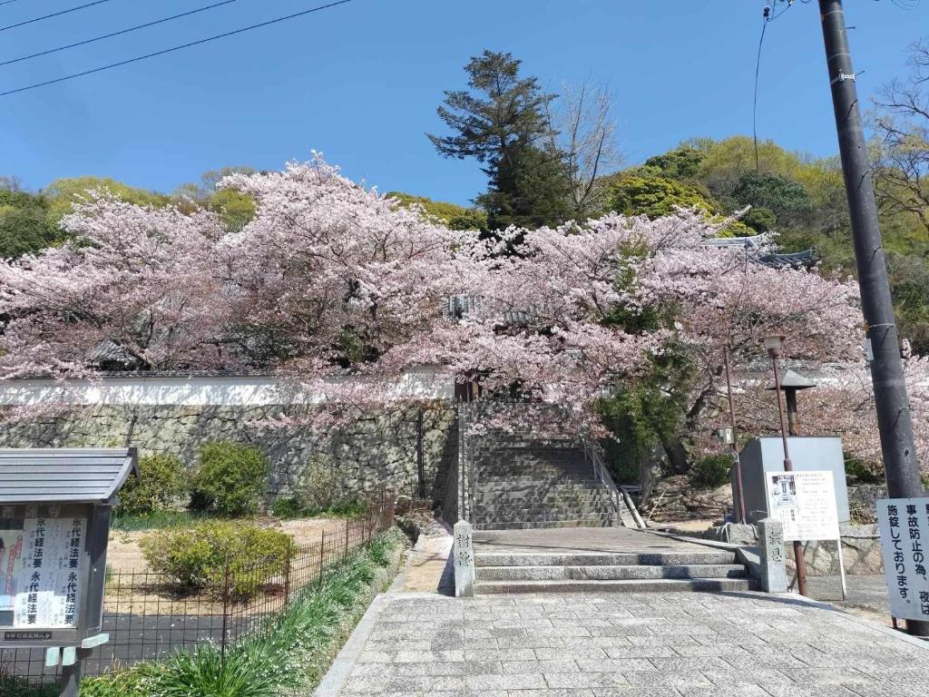 Zahrada ubytování Tiny House ZEN 倉橋島