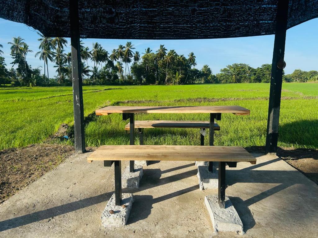 Fotografie z fotogalerie ubytování New Haven Polonnaruwa v destinaci Polonnaruwa