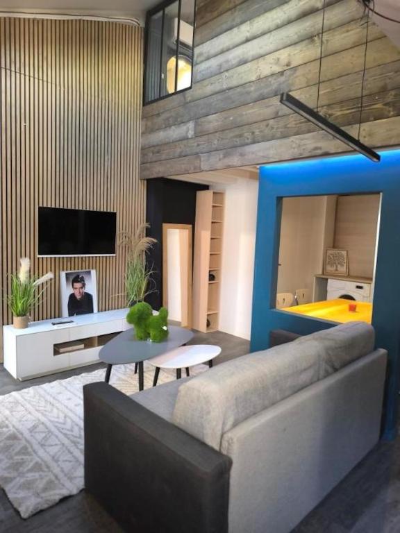 un salon avec un canapé et une télévision dans l'établissement Ville/Vieille ville appartement climatisé au calme, à Annecy