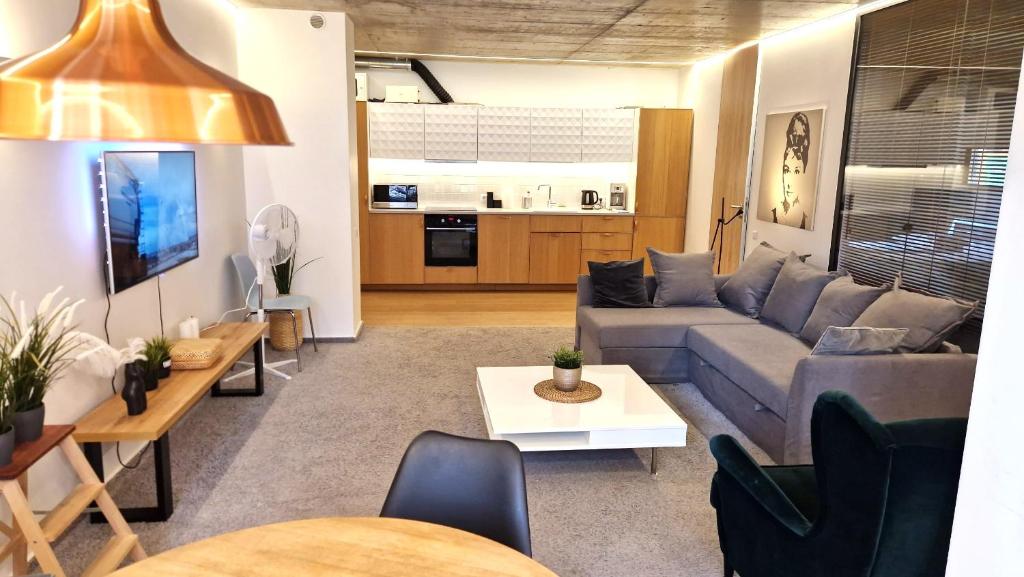 Kauno-Algirdo Luxury apartments - Apartment