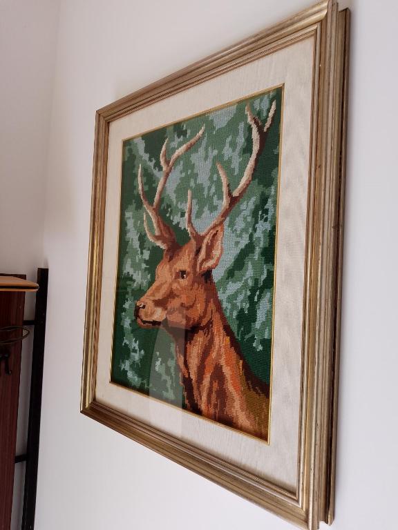 Zvířata v apartmánu nebo okolí
