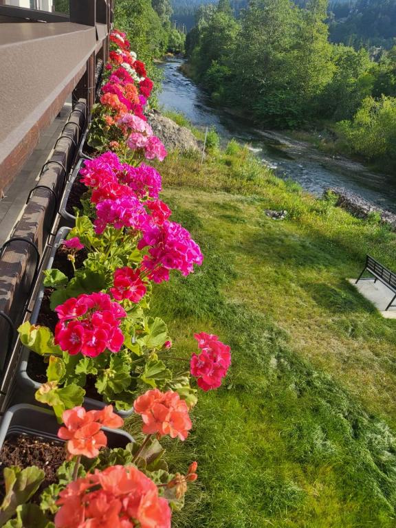 a row of flowers on a balcony next to a river at Cross Caraiman View 1 in Buşteni