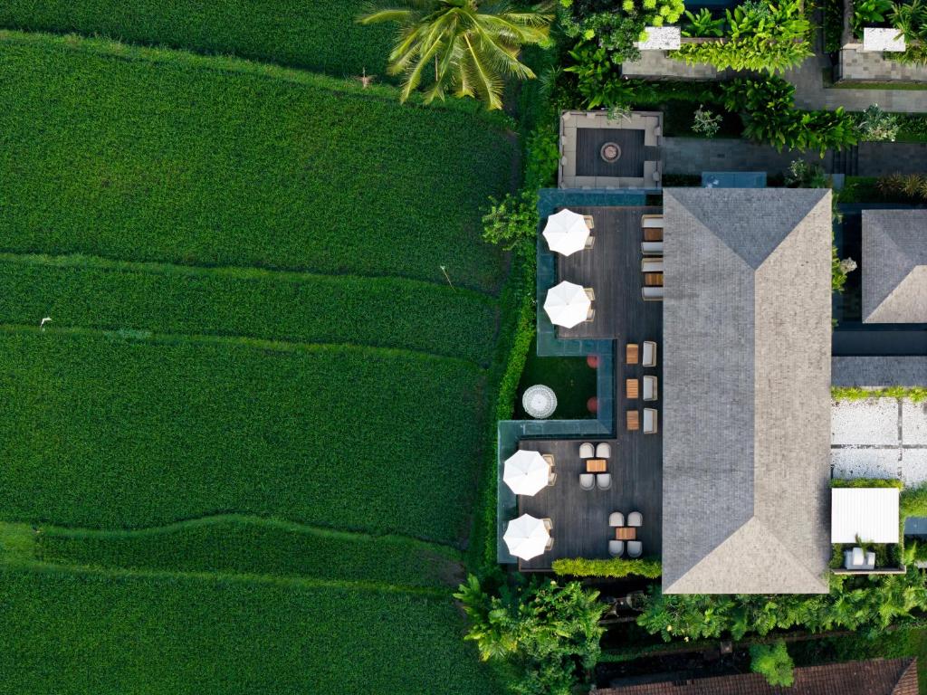 Zahrada ubytování Kappa Senses Ubud