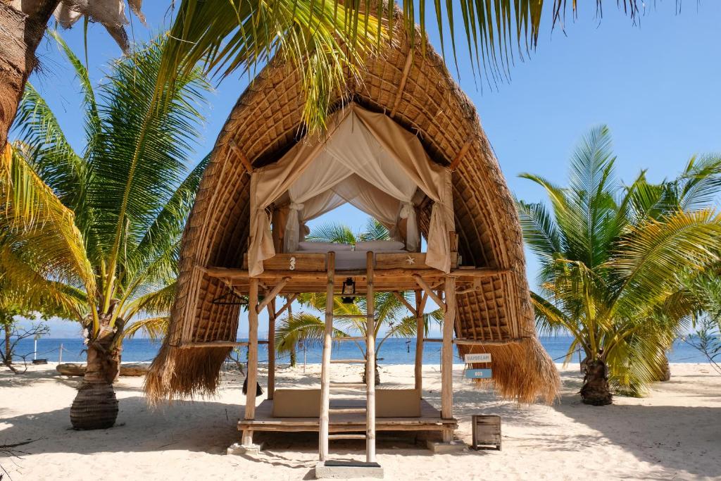 Le Pirate Island - Adults Only - 1