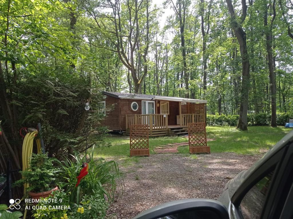 une petite cabine au milieu d'une forêt dans l'établissement Ile de France, mobil-home cosy au coeur d' une forêt avec piscine, à Saint-Chéron