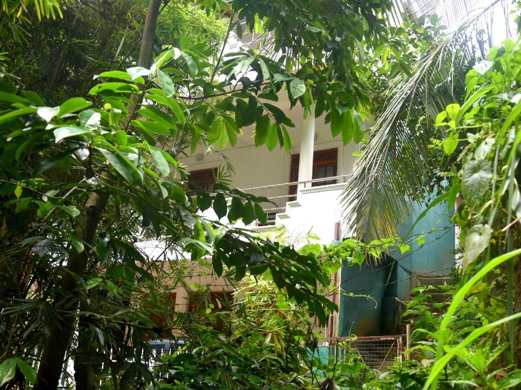 Zahrada ubytování Insa Guest House Kandy