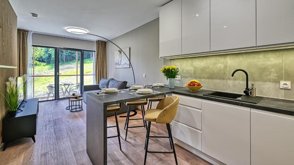 Źródło Izery przy gondoli VIP Sauna, Siłownia, Bawialnia by Royal Aparts - 7