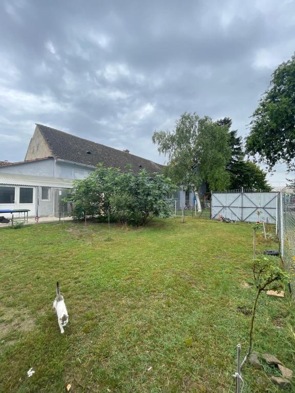Srpska Crnja Home - Housity