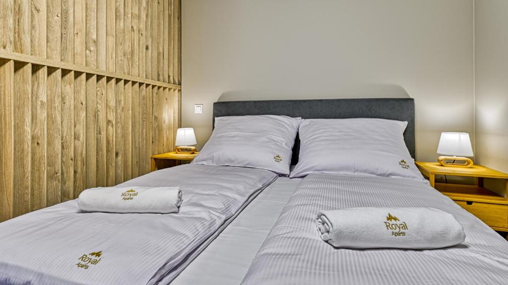 Źródło Izery przy gondoli VIP Sauna, Siłownia, Bawialnia by Royal Aparts - 10