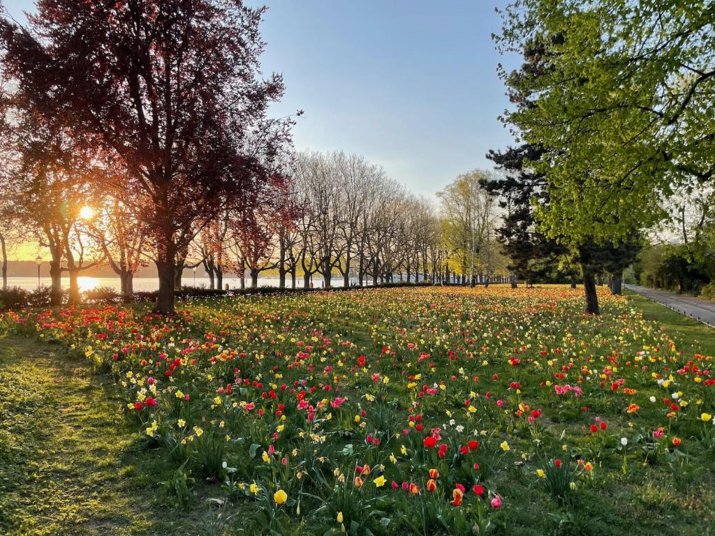 Hotel am Borsigturm - Resim 26