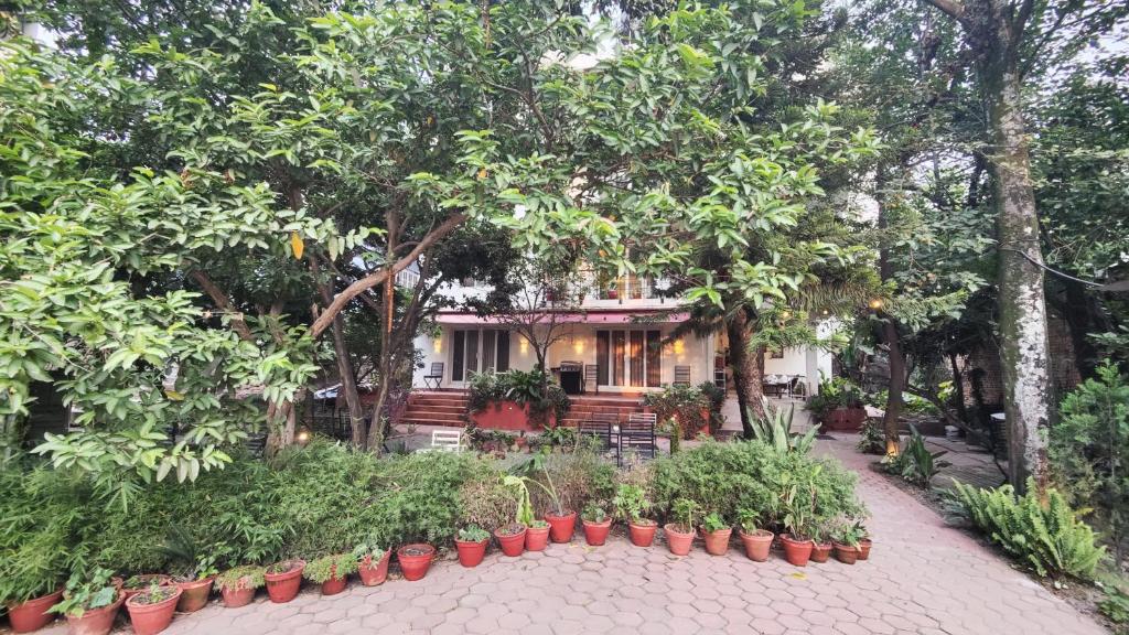 Zahrada ubytování Nextdoor Kathmandu