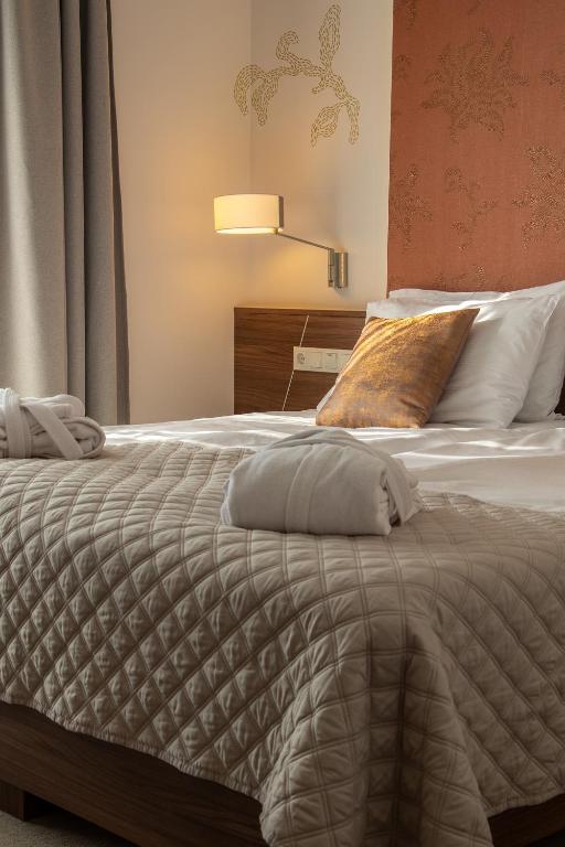 Imola Hotel Platán - Resim 18