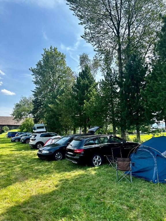 Zahrada ubytování Hubmoar Camping Spielberg